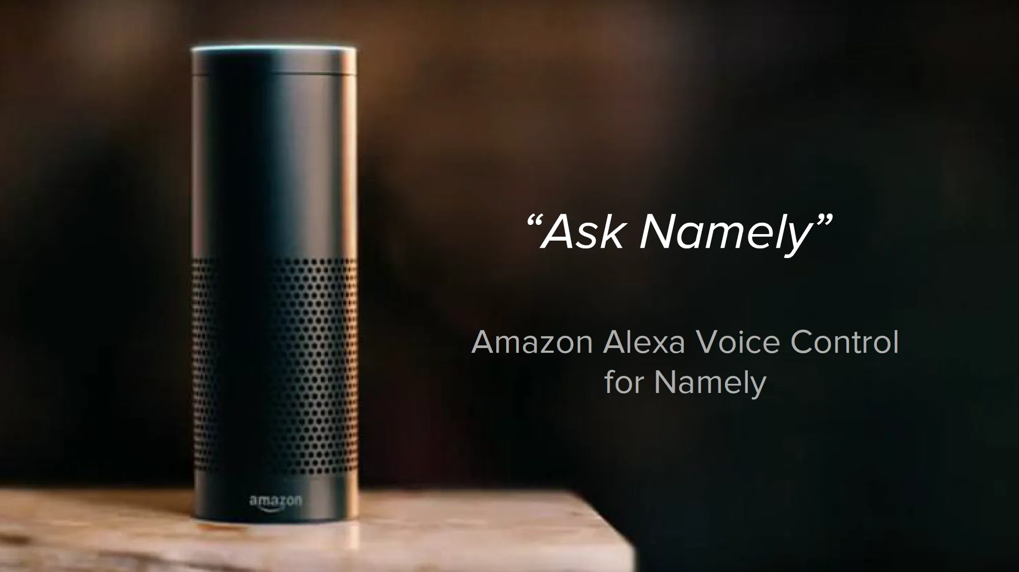 Sample screen from the Alexa for Namely project